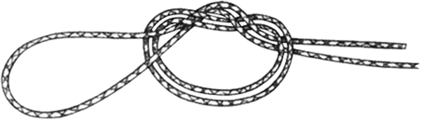 Nœud sans nœud, le noeud d'attache pour un hameçon carpe